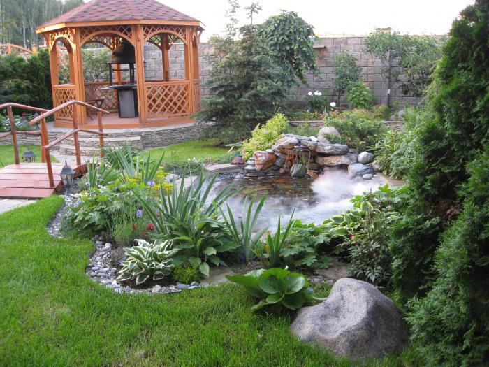 Garden Planning and Site Analysis
